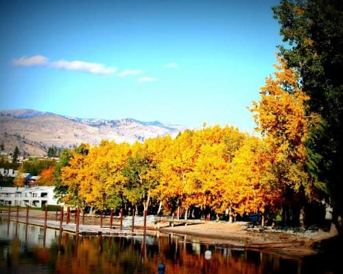 Wapato Point Lodge Association – photo 12