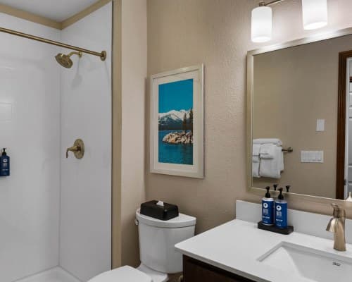 WorldMark Tahoe I -4 Nights – photo 52