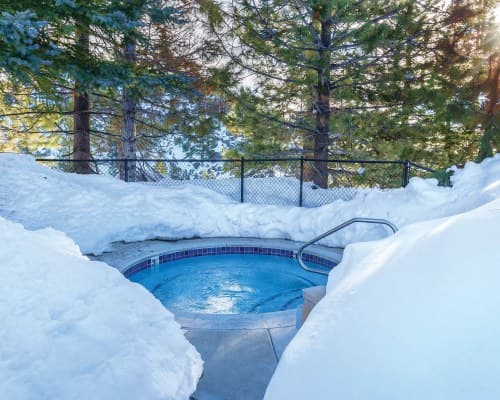 WorldMark Tahoe I -4 Nights – photo 37