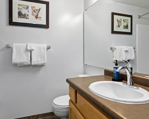WorldMark Wolf Creek – photo 29