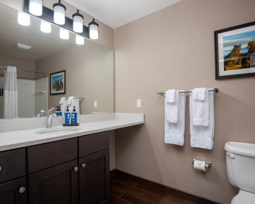 WorldMark McCall - 5 Nights – photo 37