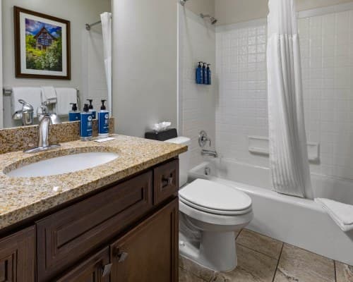 WorldMark Midway - 5 Nights – photo 30