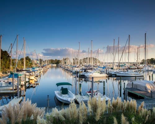 Fairfield Harbour Sandcastle Village – photo 25