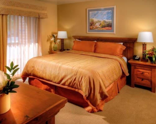 Park Plaza – photo 9