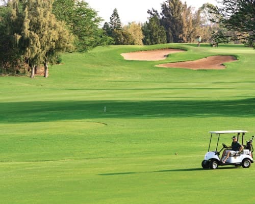 Shell Vacations Club @ Paniolo Greens – photo 13