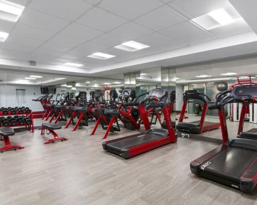 Club Wyndham Midtown 45 - 2 Nights – photo 9